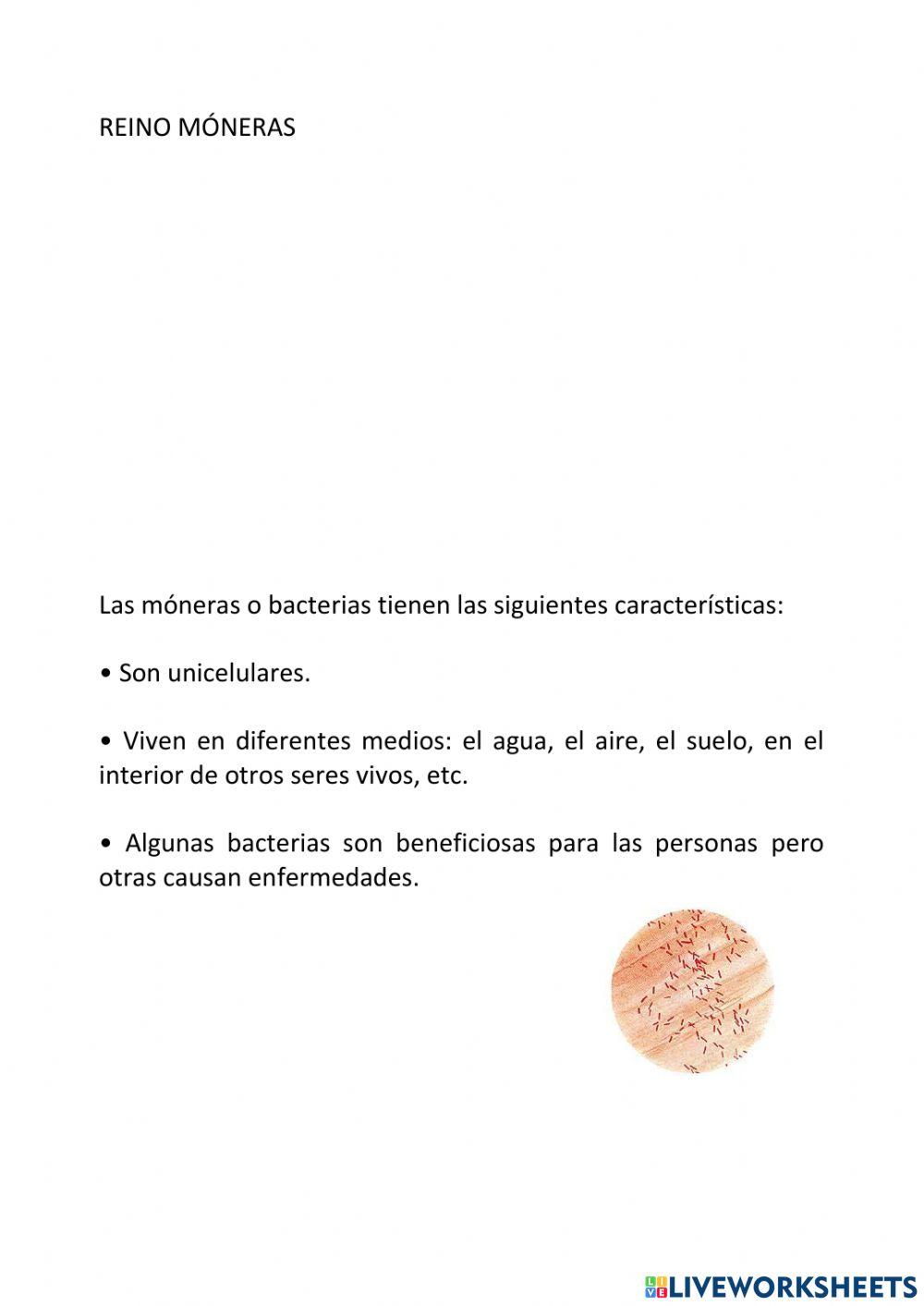 Los 5 reinos. Tema 2. 5º primaria