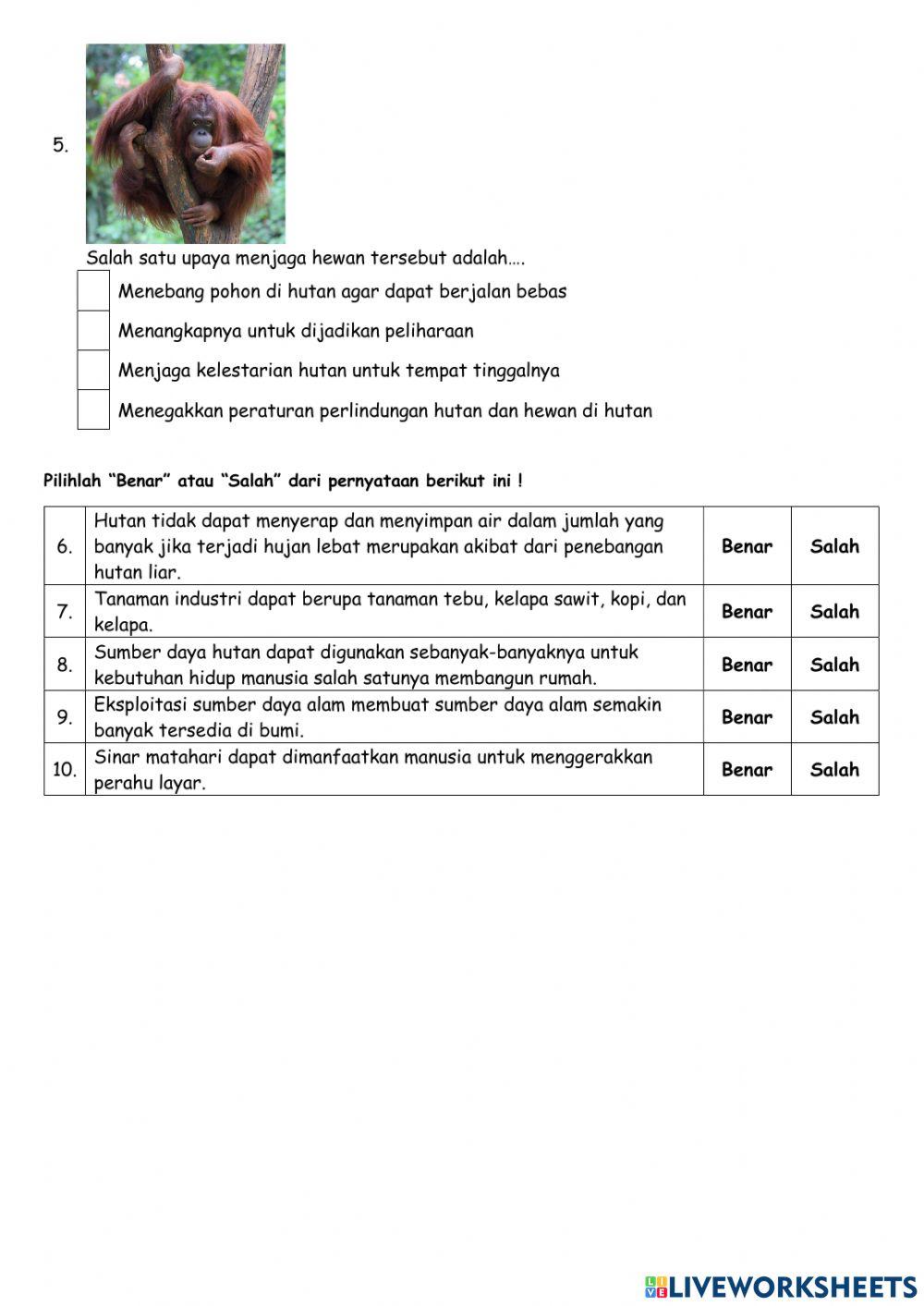Formatif ips tema 6