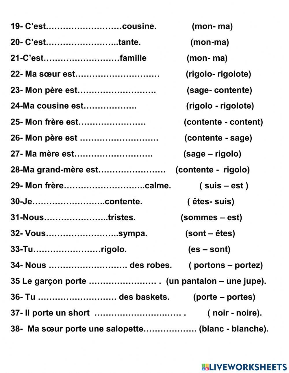 g3 french revision 