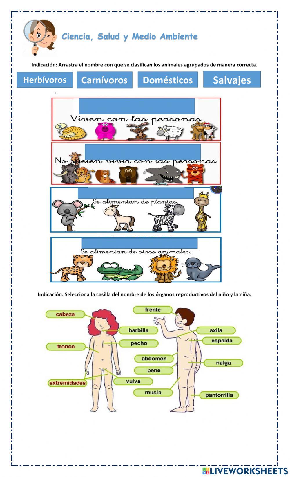                                  --EVALUACIÓN DIAGNÓSTICA--     3° GRADO