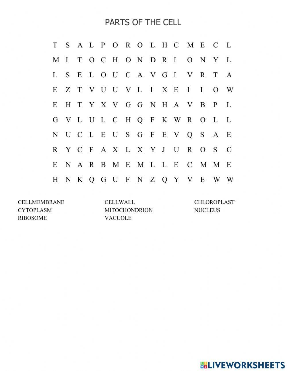 animal-and-plant-cells-live-worksheets