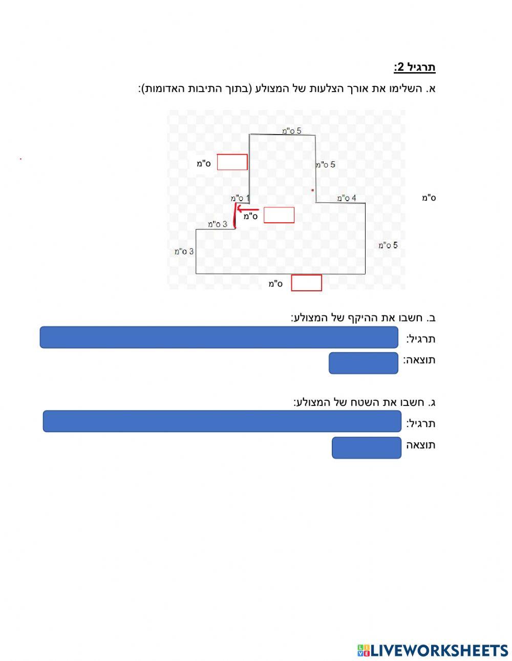 דף עבודה ד2 שטח והיקף למתקדמים