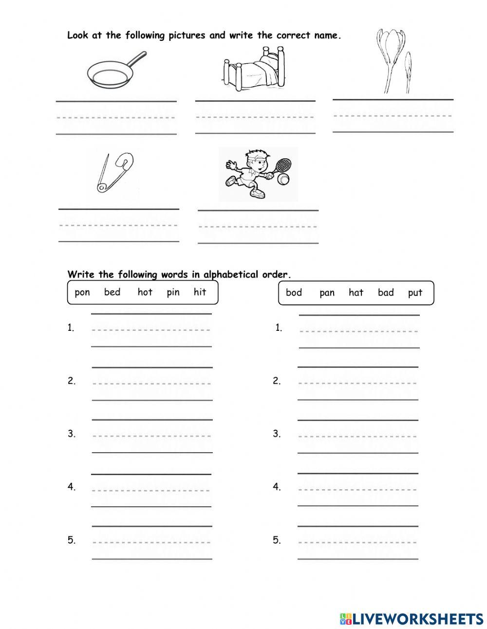 Vocabulary unit iii-a