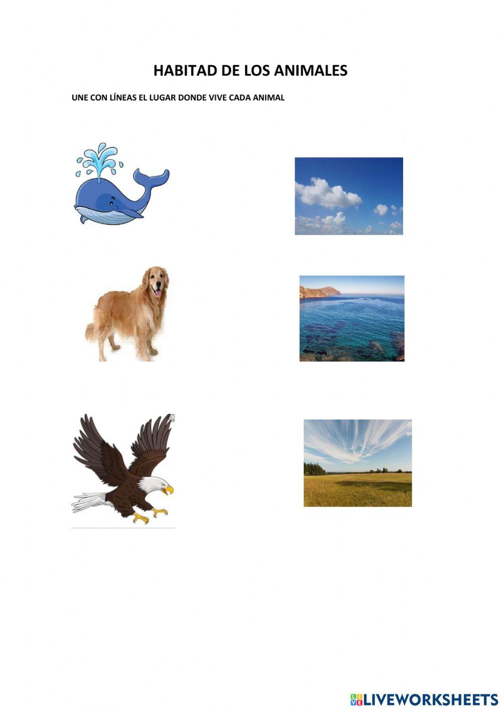 Habitad de los animales