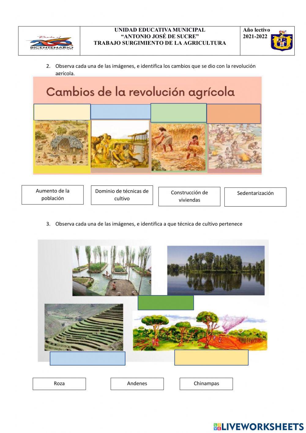 Surgimiento de la agricultura