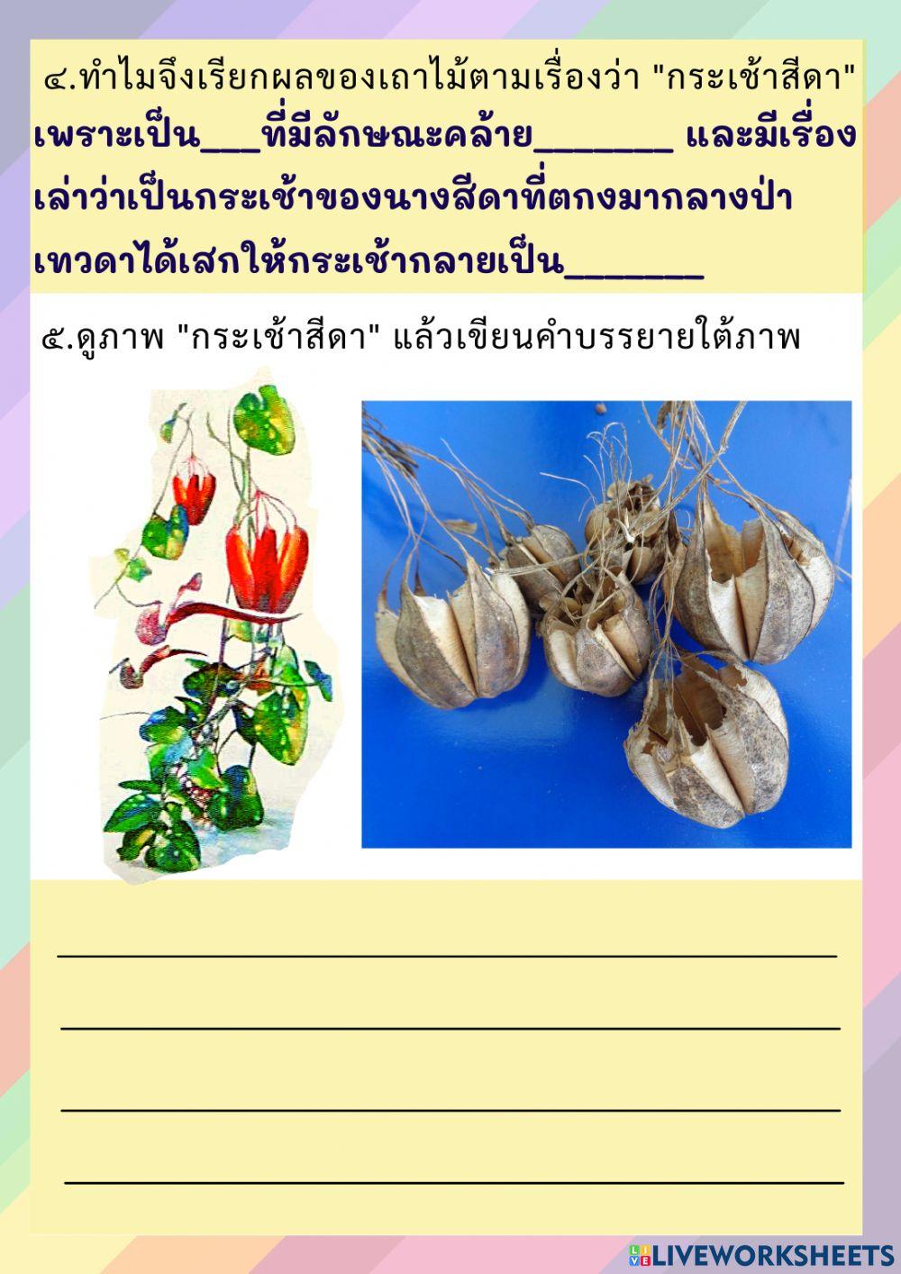 ตอบคำถามกระเช้าสีดา