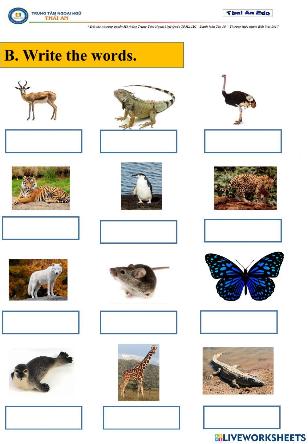 Grammar Pre-S4-Worksheet day 17