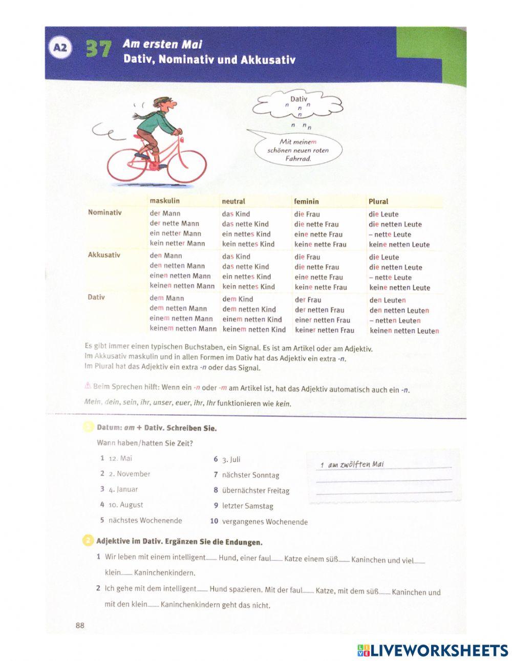 Adjektivdeklination (3)