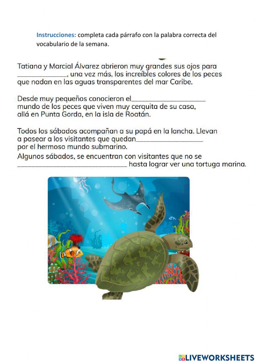 Ficha de vocabulario