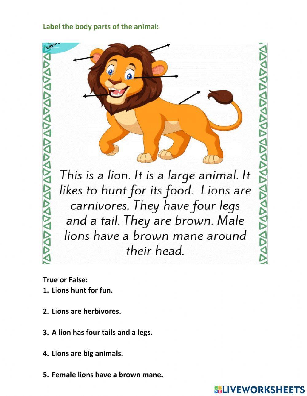 Reading about Animals