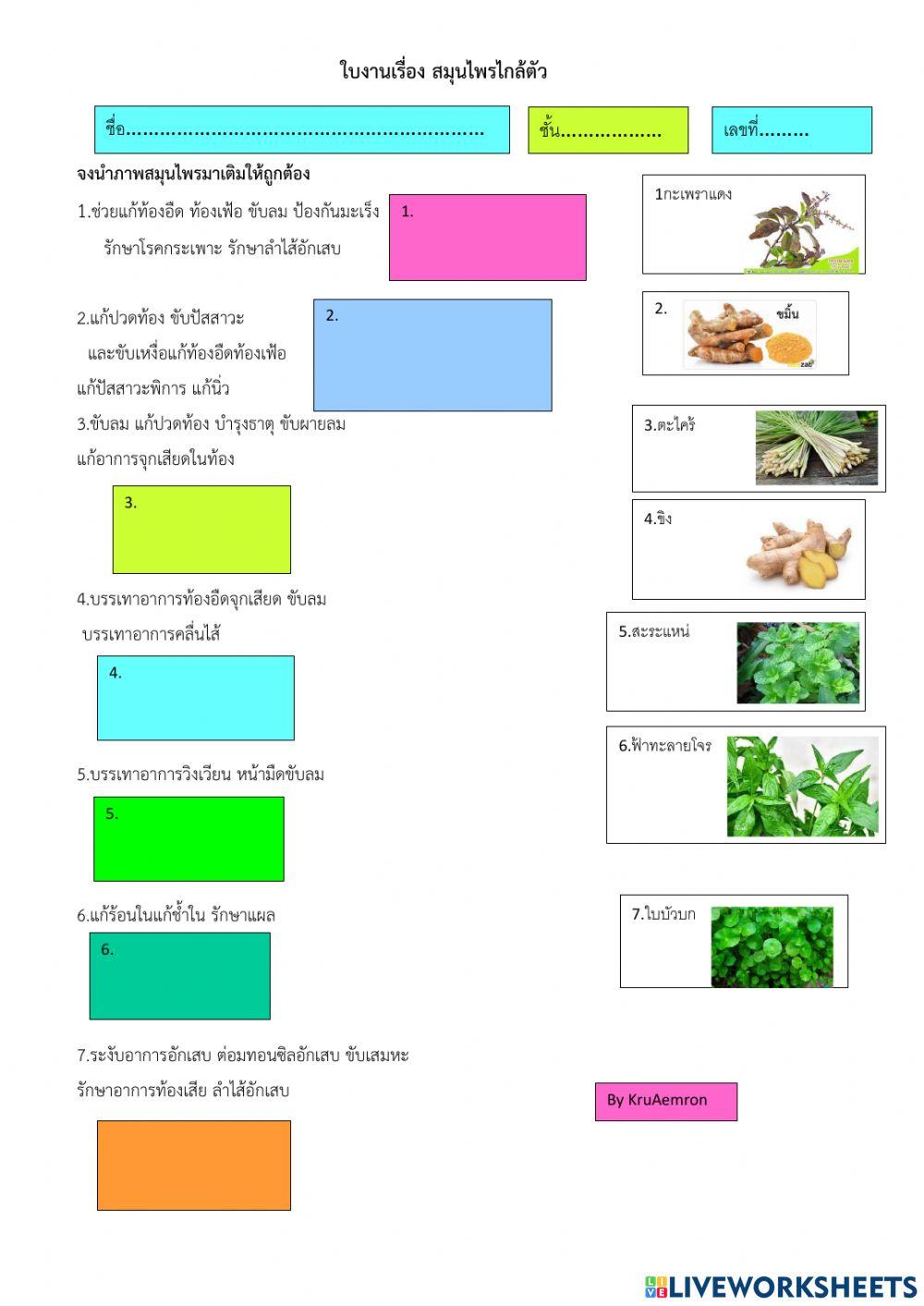ใบงานสมุนไพร