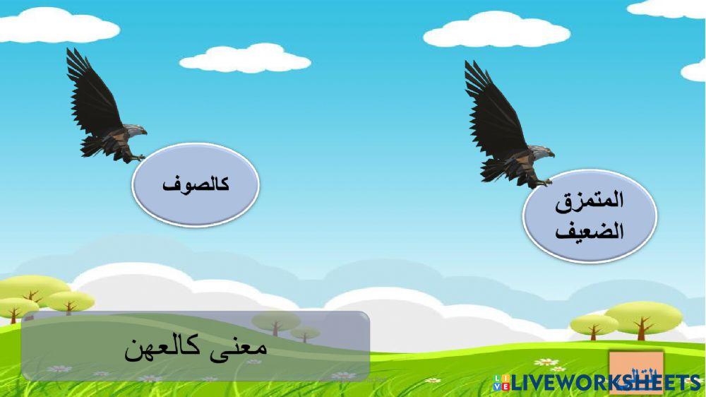 اسئلة القارعة