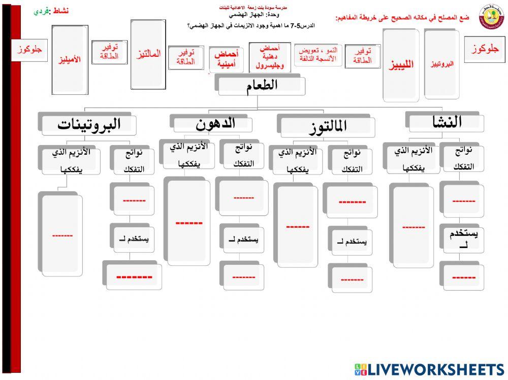 أ.هالة عبدالعزيز