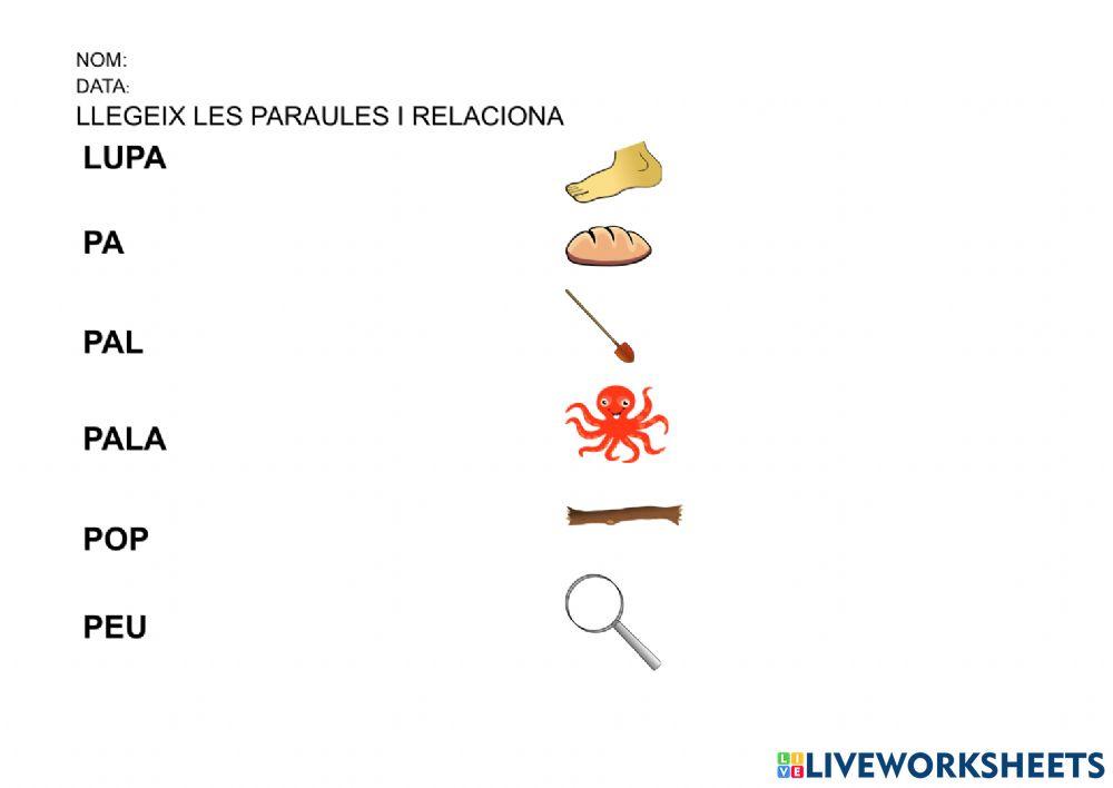 Relaciona paraula i imatge