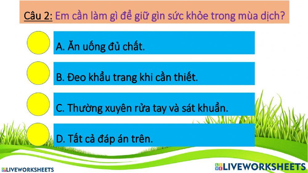 Phiếu khảo sát