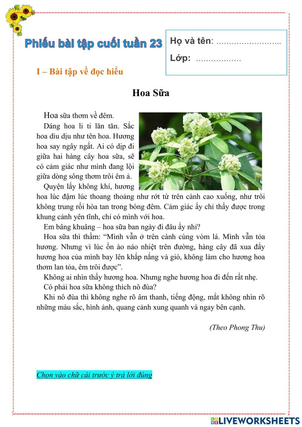 Bài tập cuối tuần 23 Tiếng Việt lớp 5