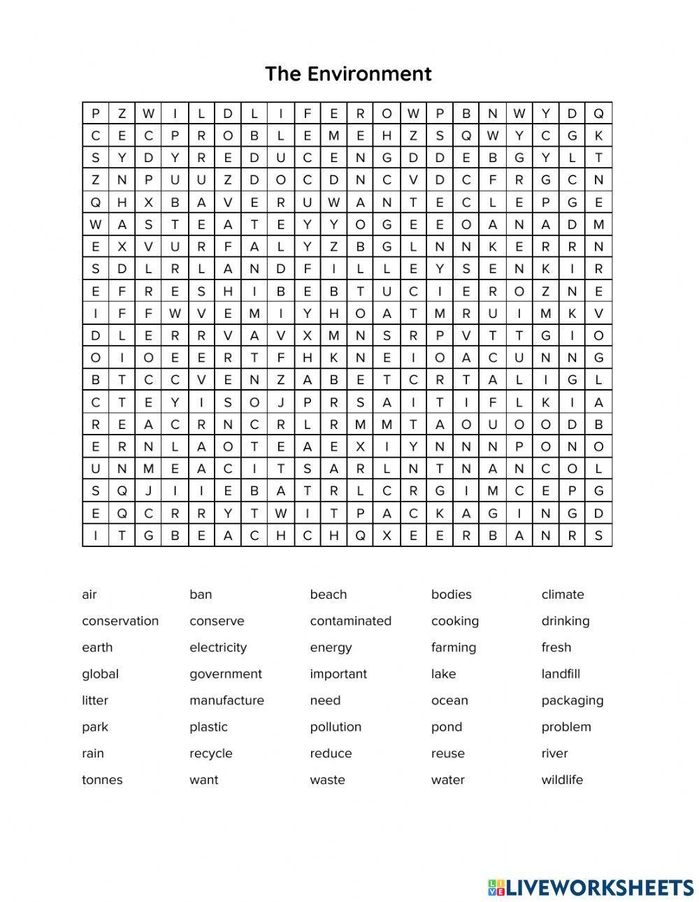 Wordsearch: The Environment