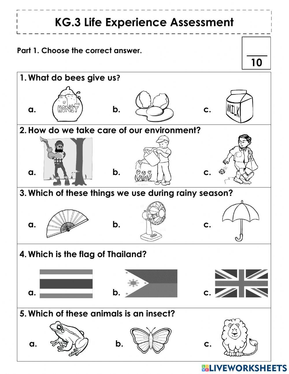 life-experience-kg3-worksheet-live-worksheets