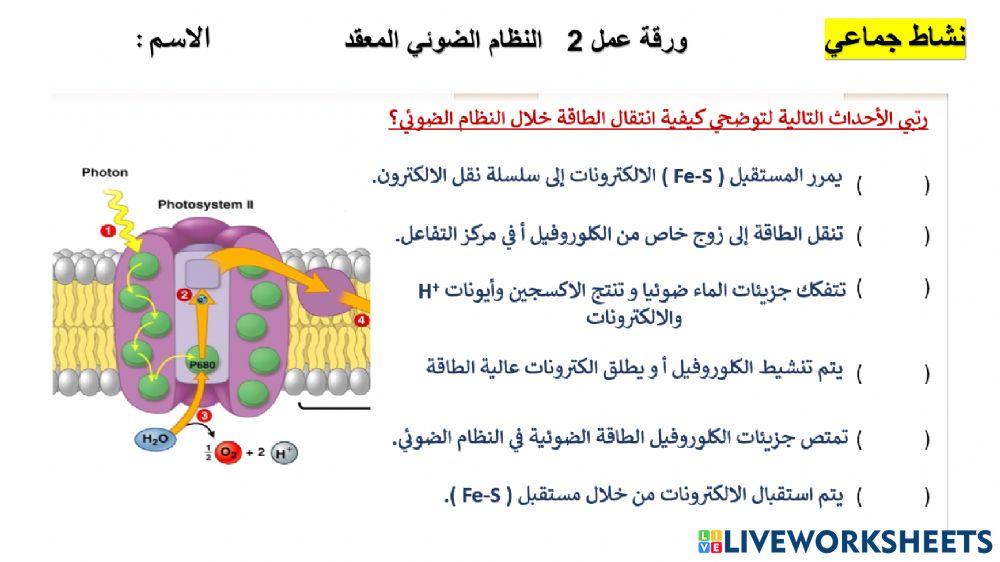 التفاعلات الضوئية -عملية البناء الضوئي 2