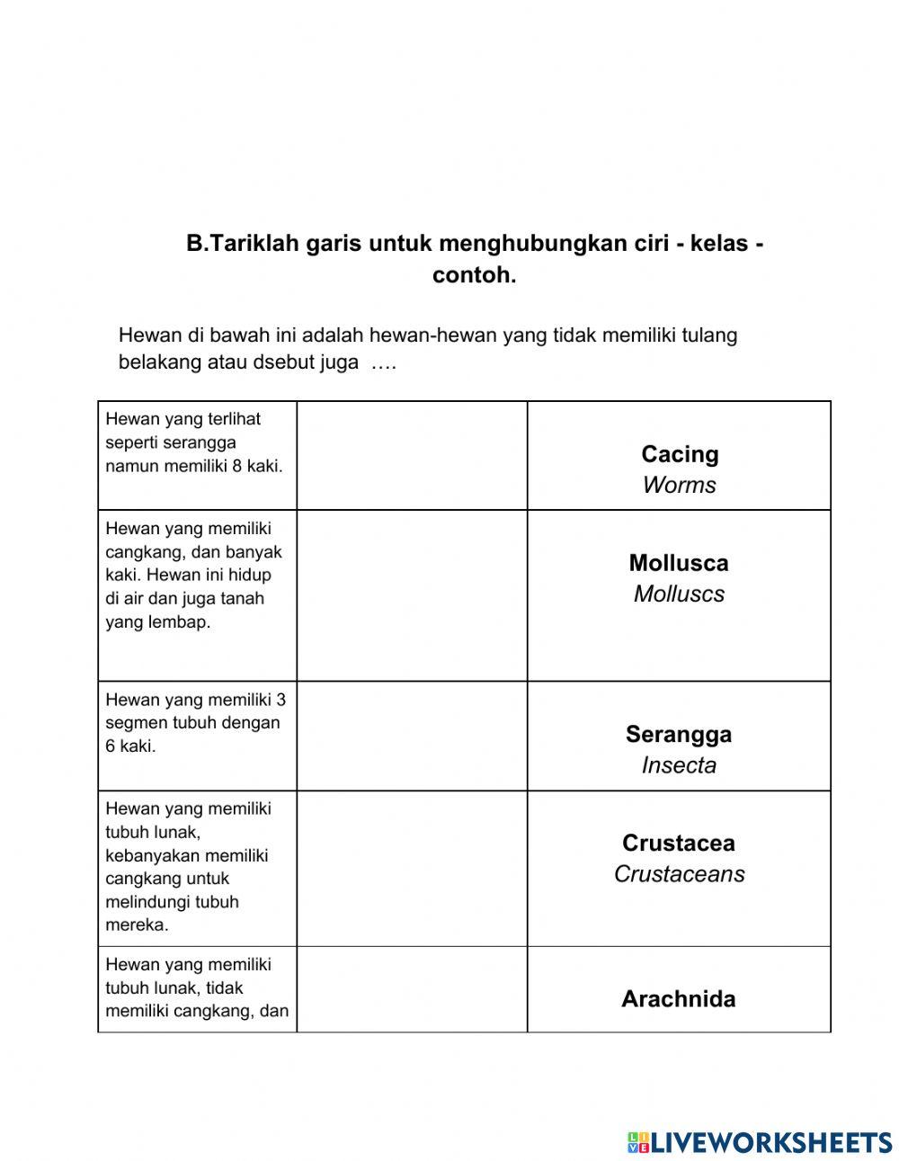 Vertebrata-Invertebrata