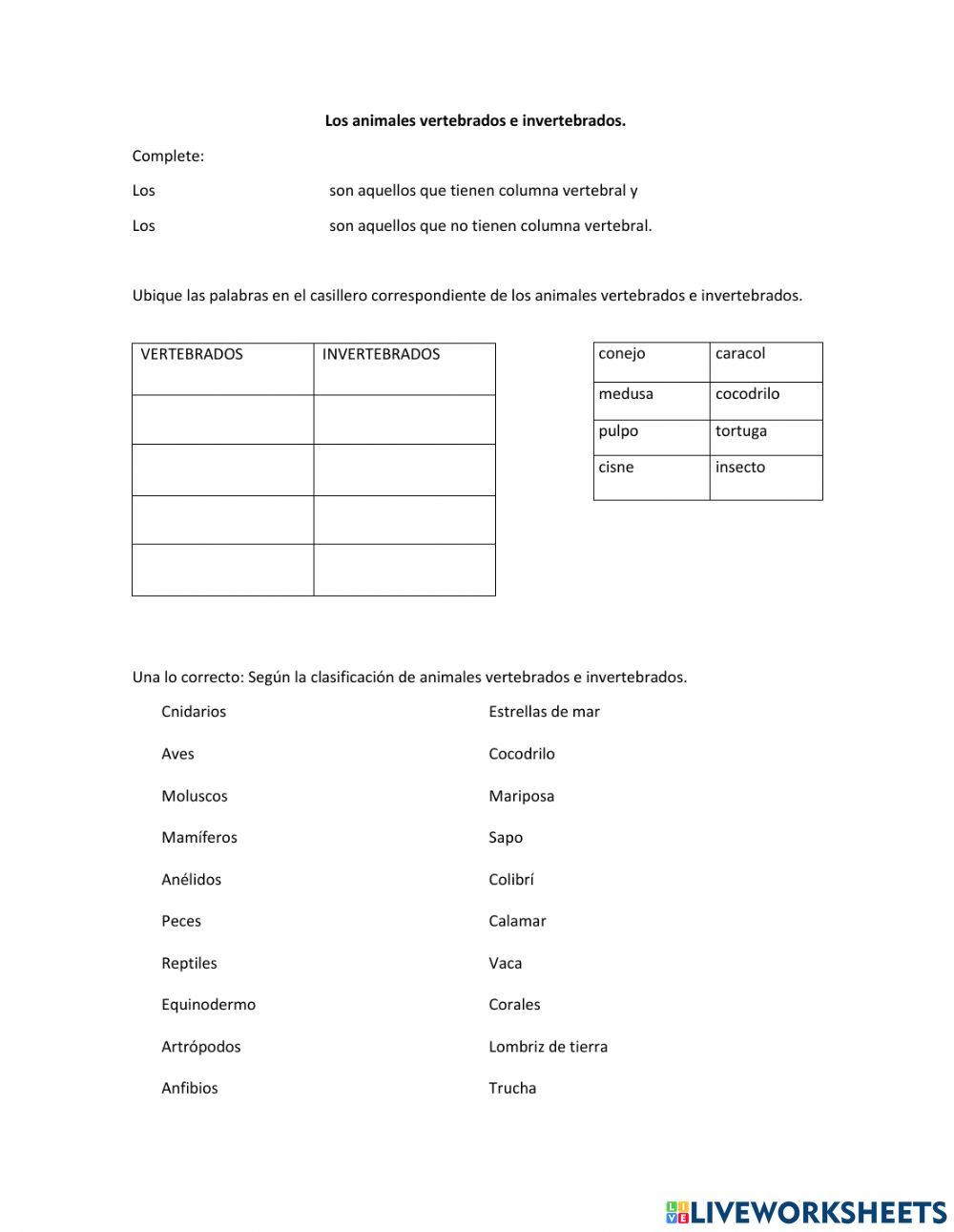 Los animales vertebrados e invertebrados.