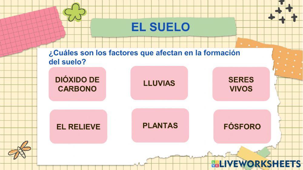 Actividad en clase Ciencias Naturales