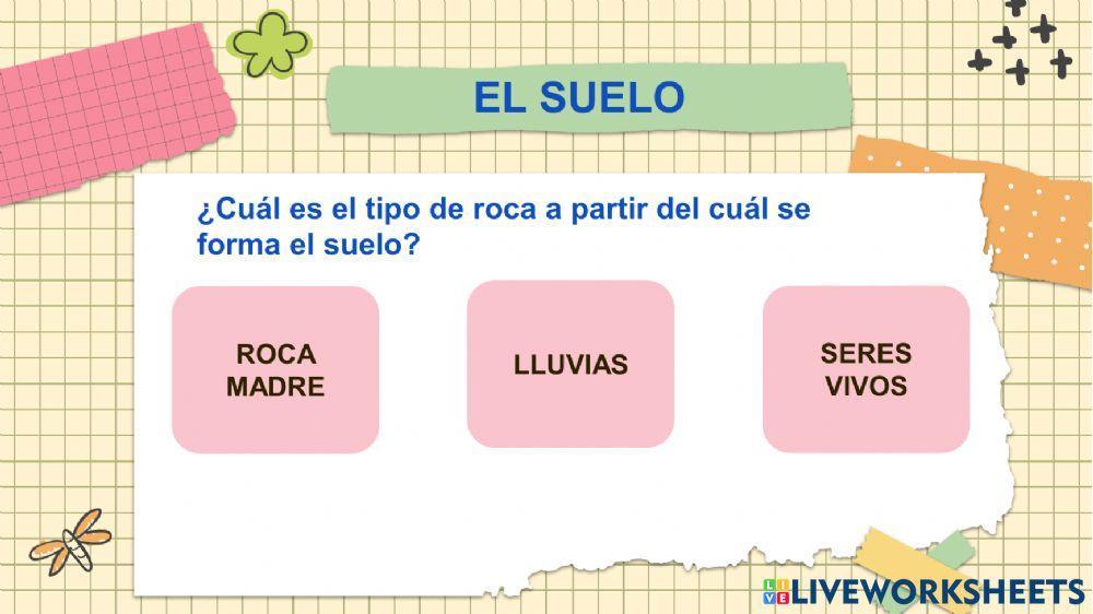 Actividad en clase Ciencias Naturales