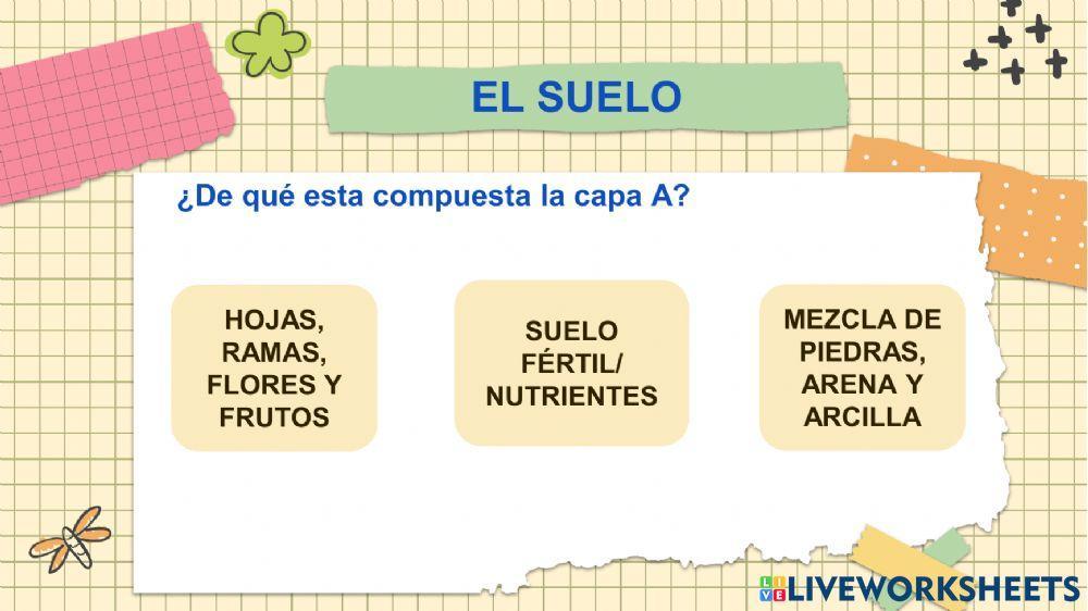Actividad en clase Ciencias Naturales