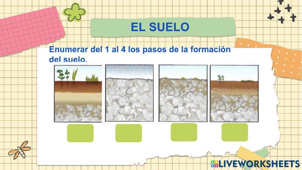 Actividad en clase Ciencias Naturales