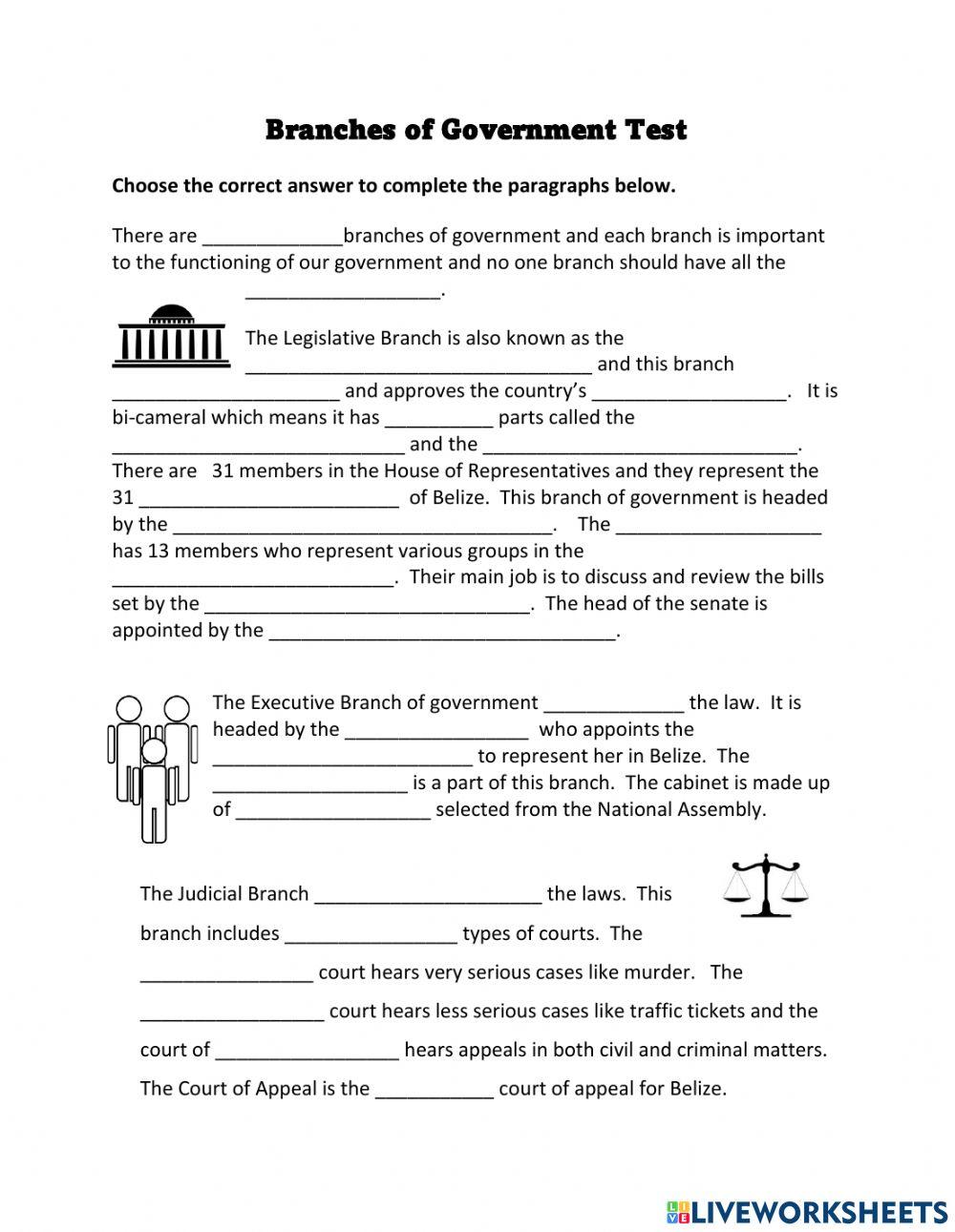Branches Of Government Worksheet Answers