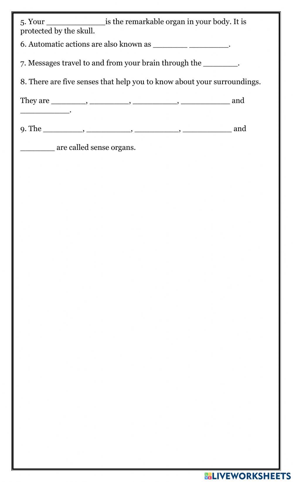 H.M: Nervous System-W6