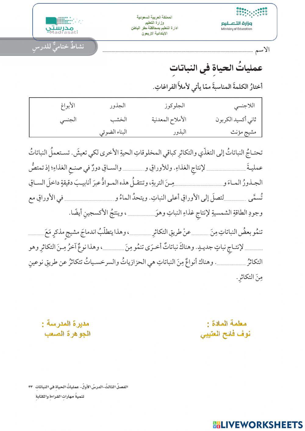 عمليات الحياة في النباتات