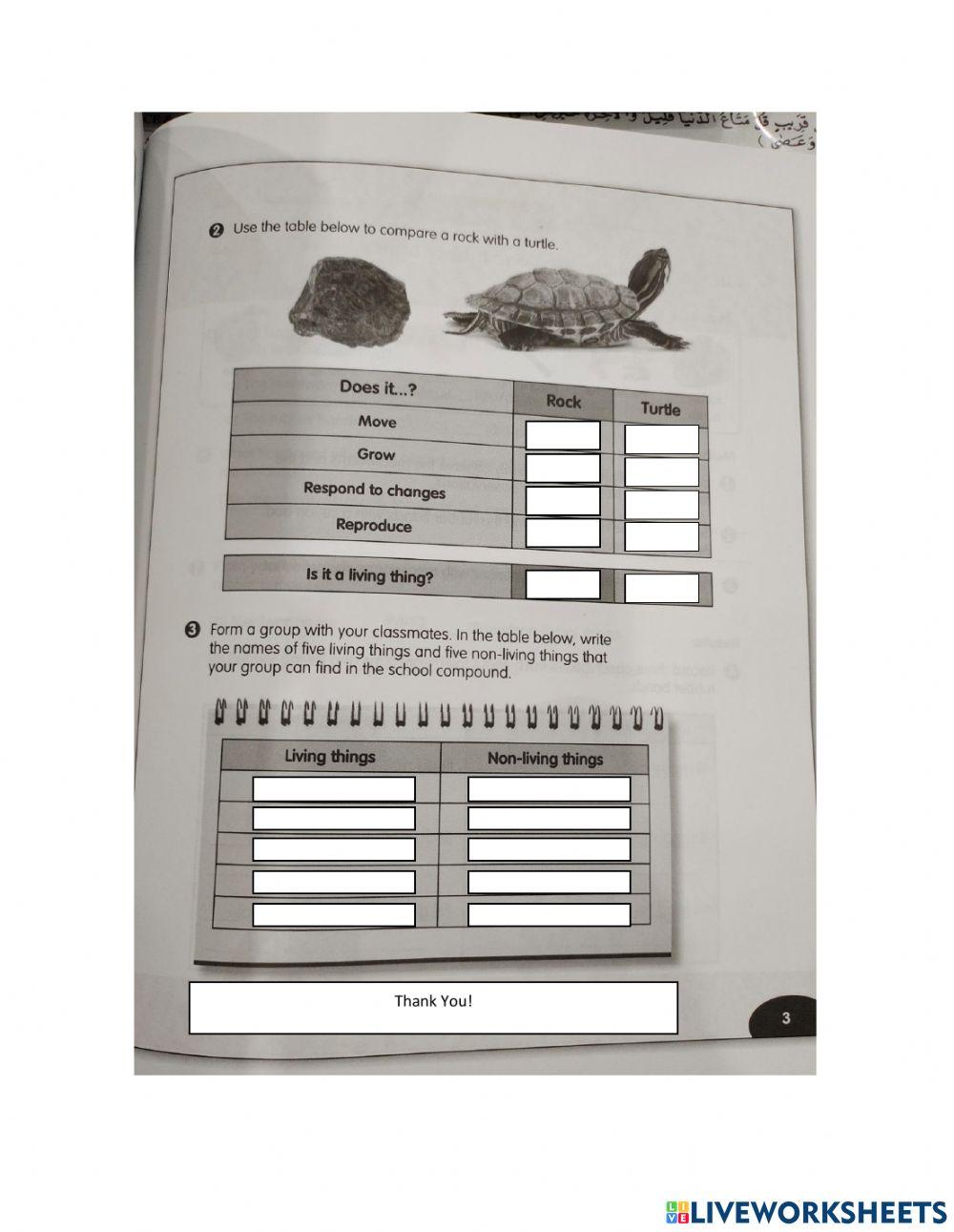 Is it a living or non-living thing?