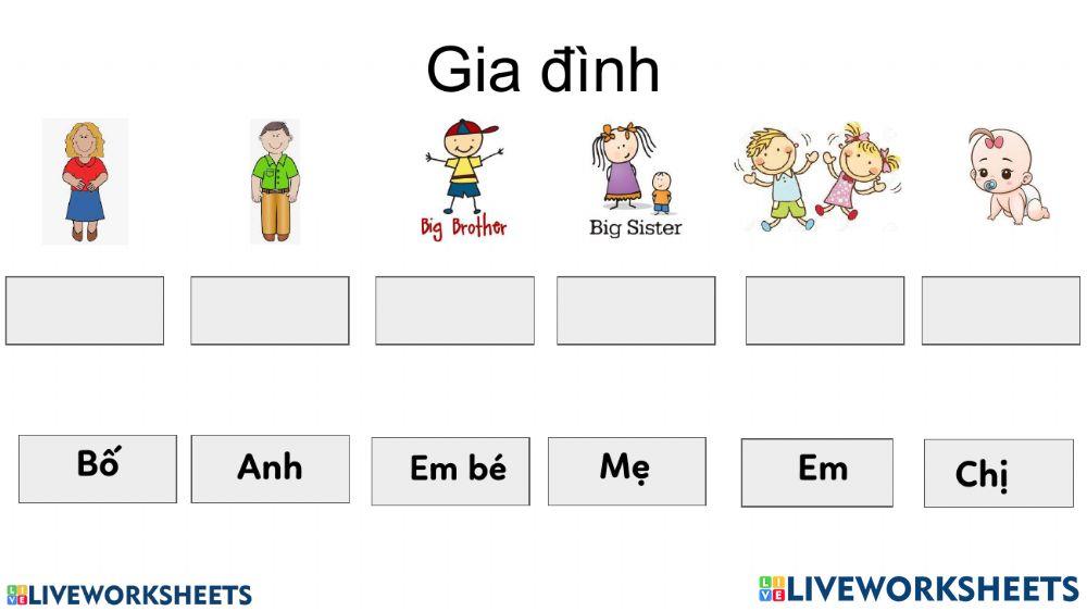 Thành viên gia đình