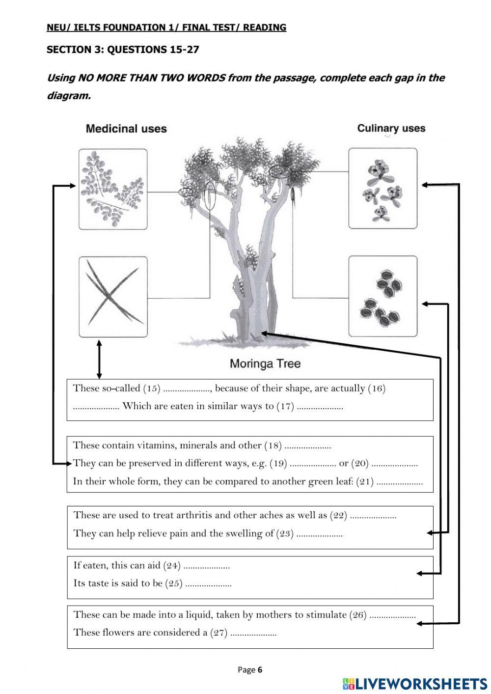 IELTS FOUNDATION 1 FINAL READING