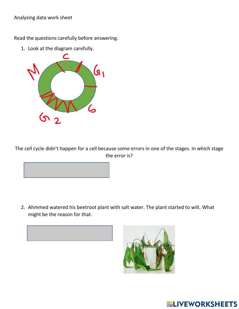 Analyzing data biology