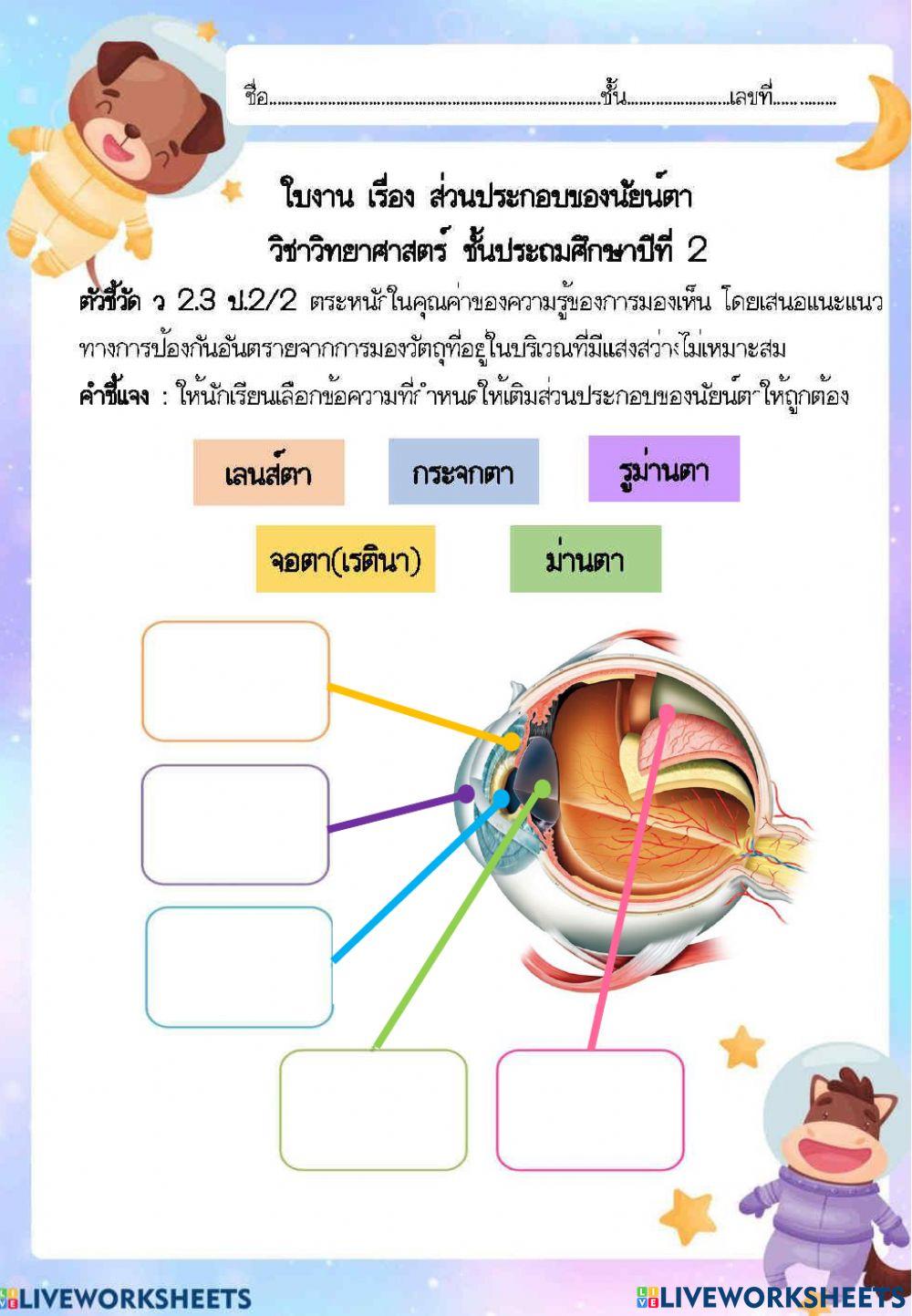 ทบทวนบทเรียน