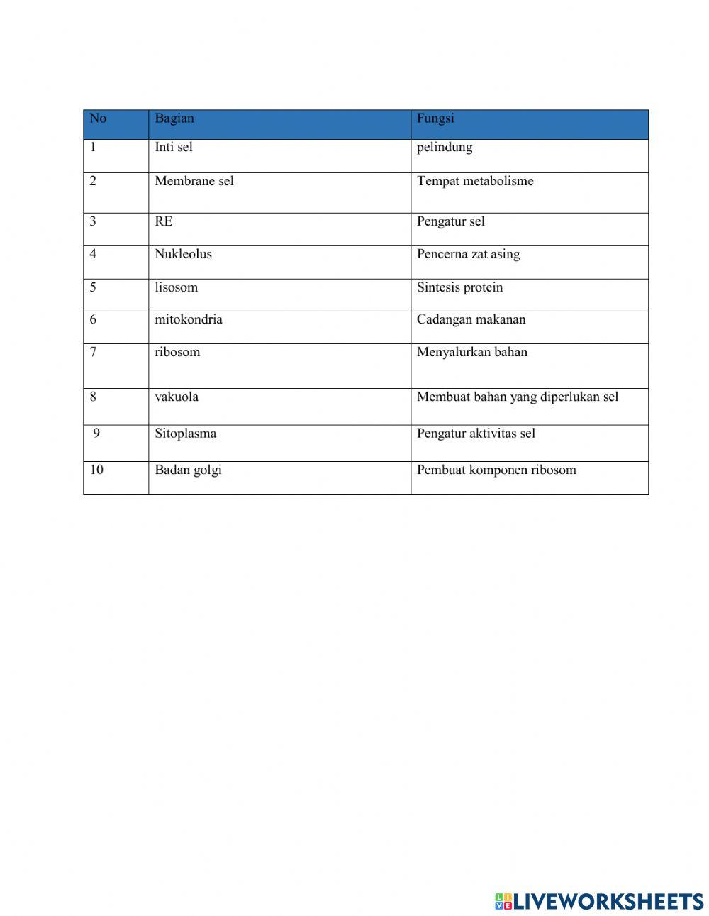 Sistem Organisasi Kehidupan