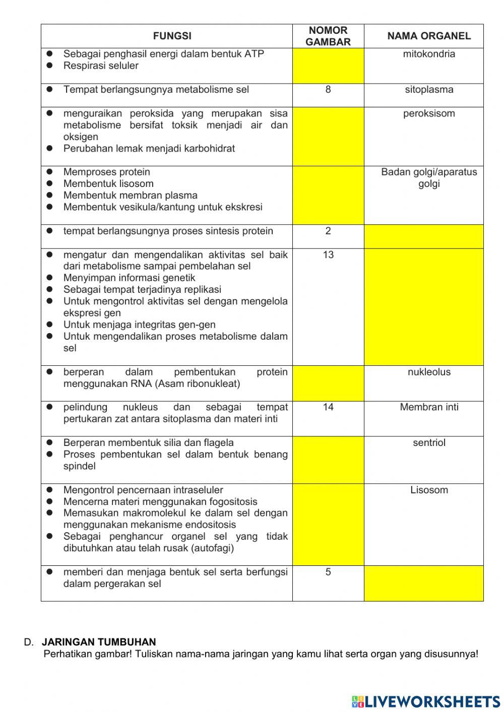 Organisasi Kehidupan