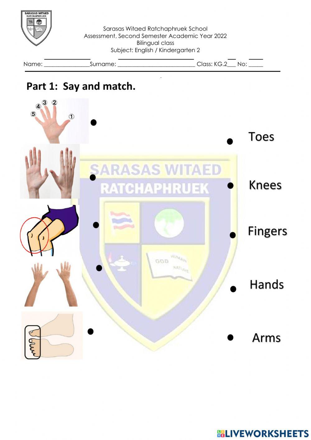 Assessment term 2 kg2 worksheet Live Worksheets Assessment term 2 kg2 worksheet Live Worksheets
