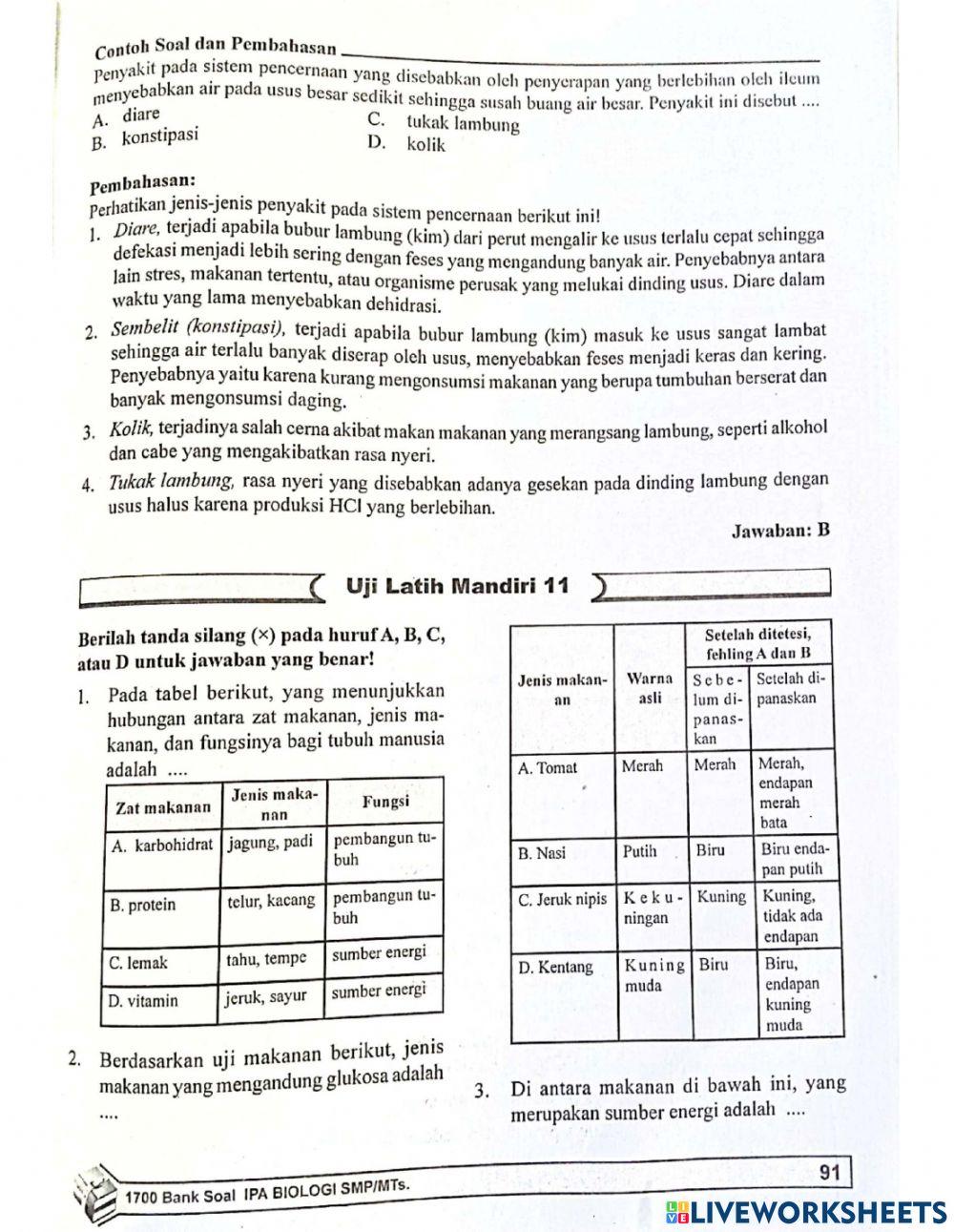 Biologi bab 11 sistem pencernaan pada manusia