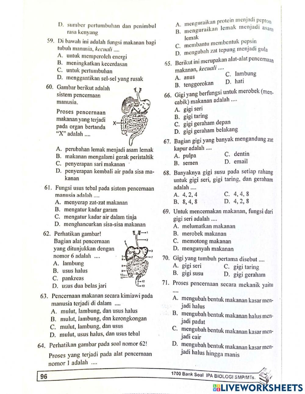 Biologi bab 11 sistem pencernaan pada manusia