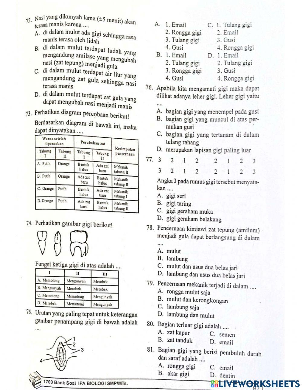 Biologi bab 11 sistem pencernaan pada manusia