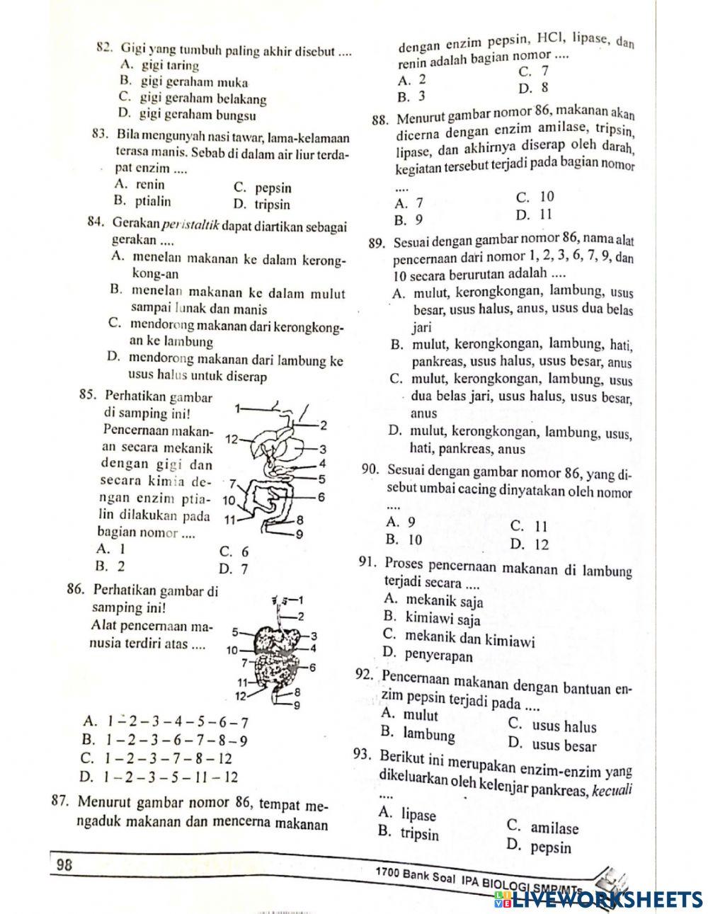 Biologi bab 11 sistem pencernaan pada manusia