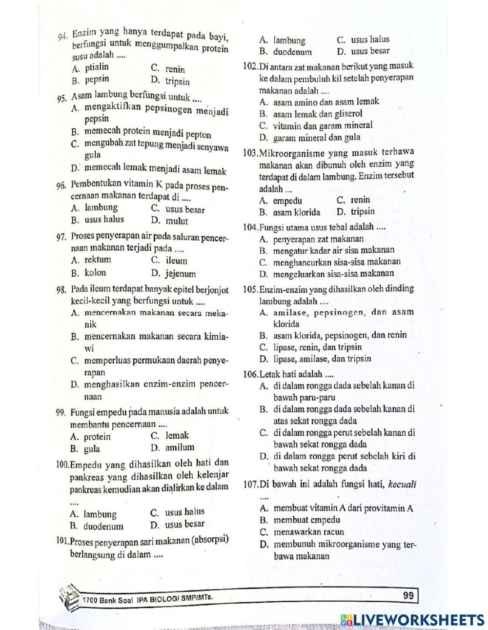Biologi bab 11 sistem pencernaan pada manusia