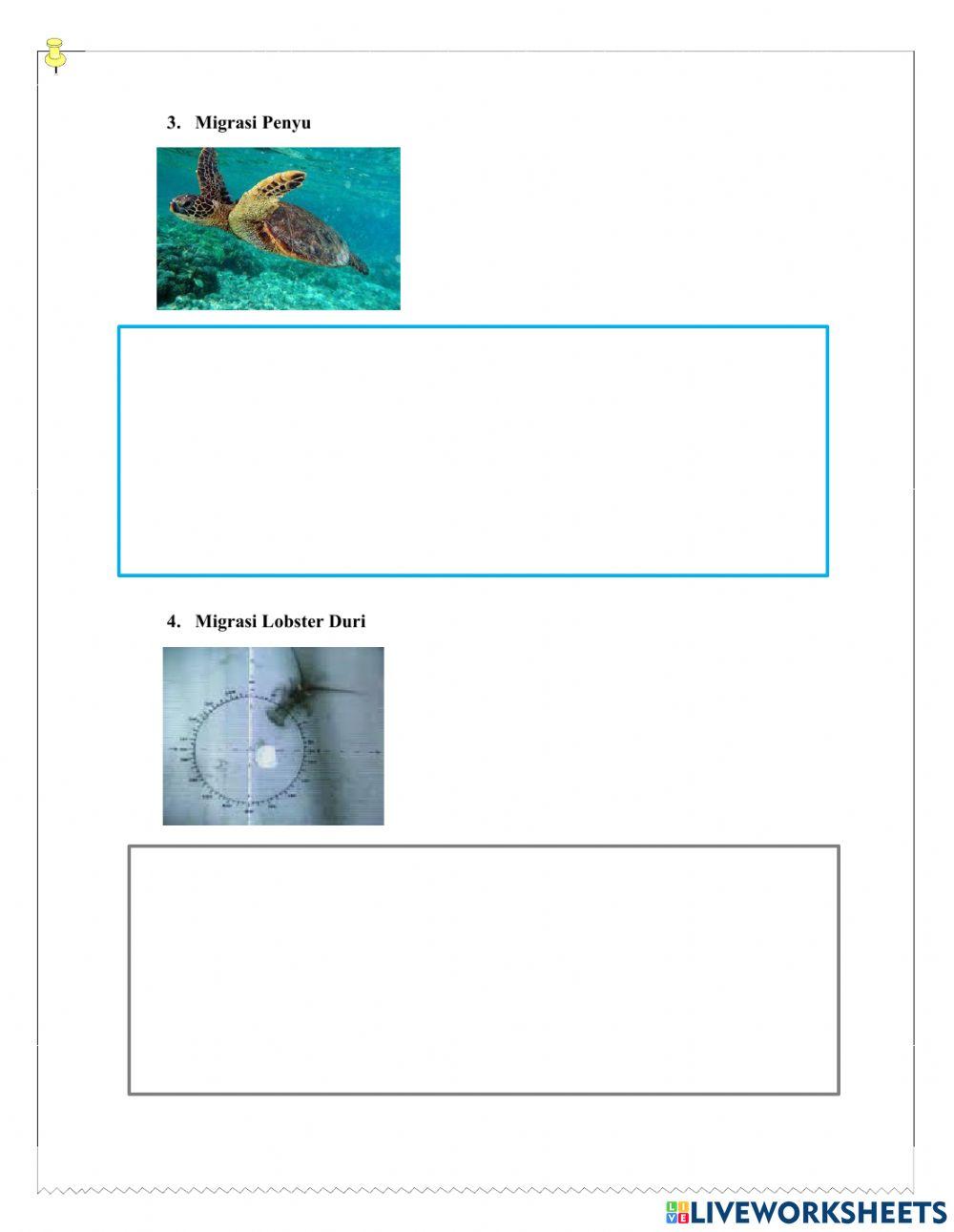 Pemanfaatan Medan Magnet Pada Migrasi Hewan