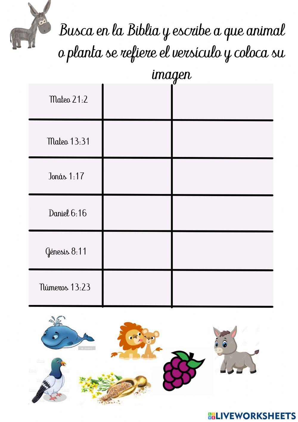 ¿Qué dice cada versículo?