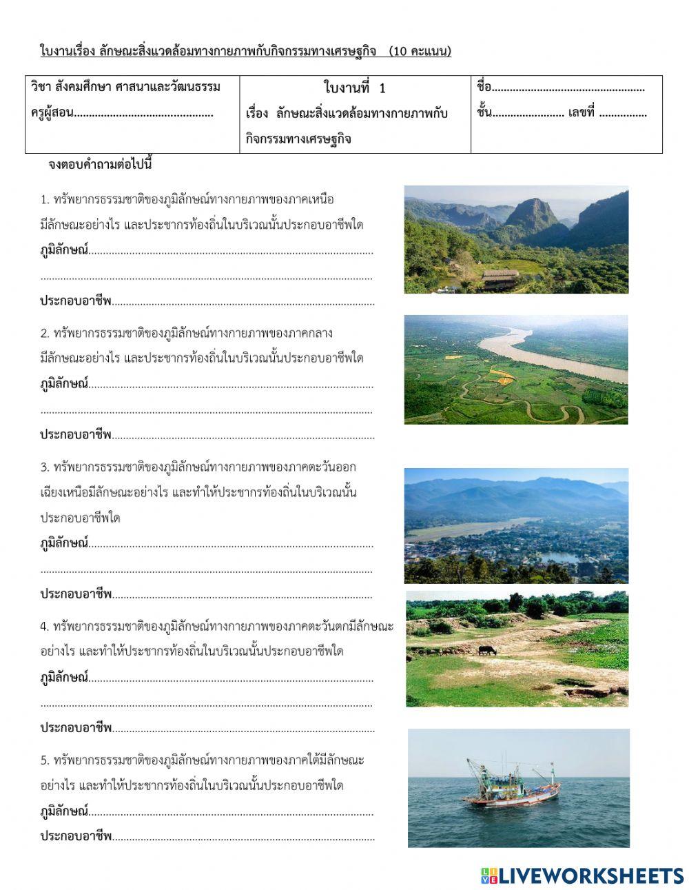 ใบงาน เรื่องลักษณะทางกายภาพ ป.6-10