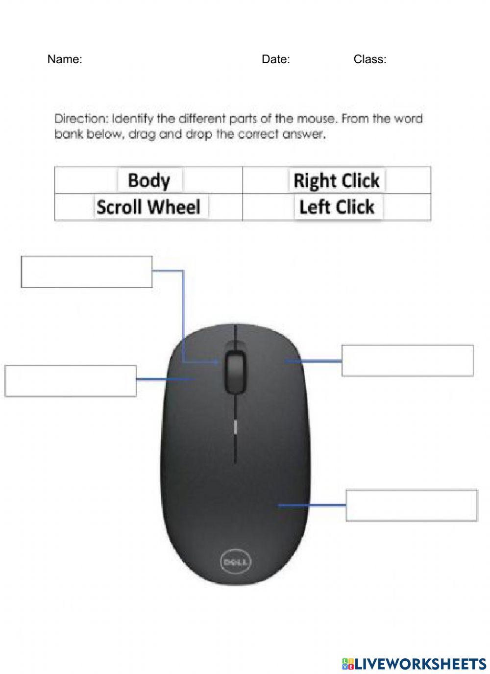 Grade 1 Parts of the Mouse online exercise for Live Worksheets