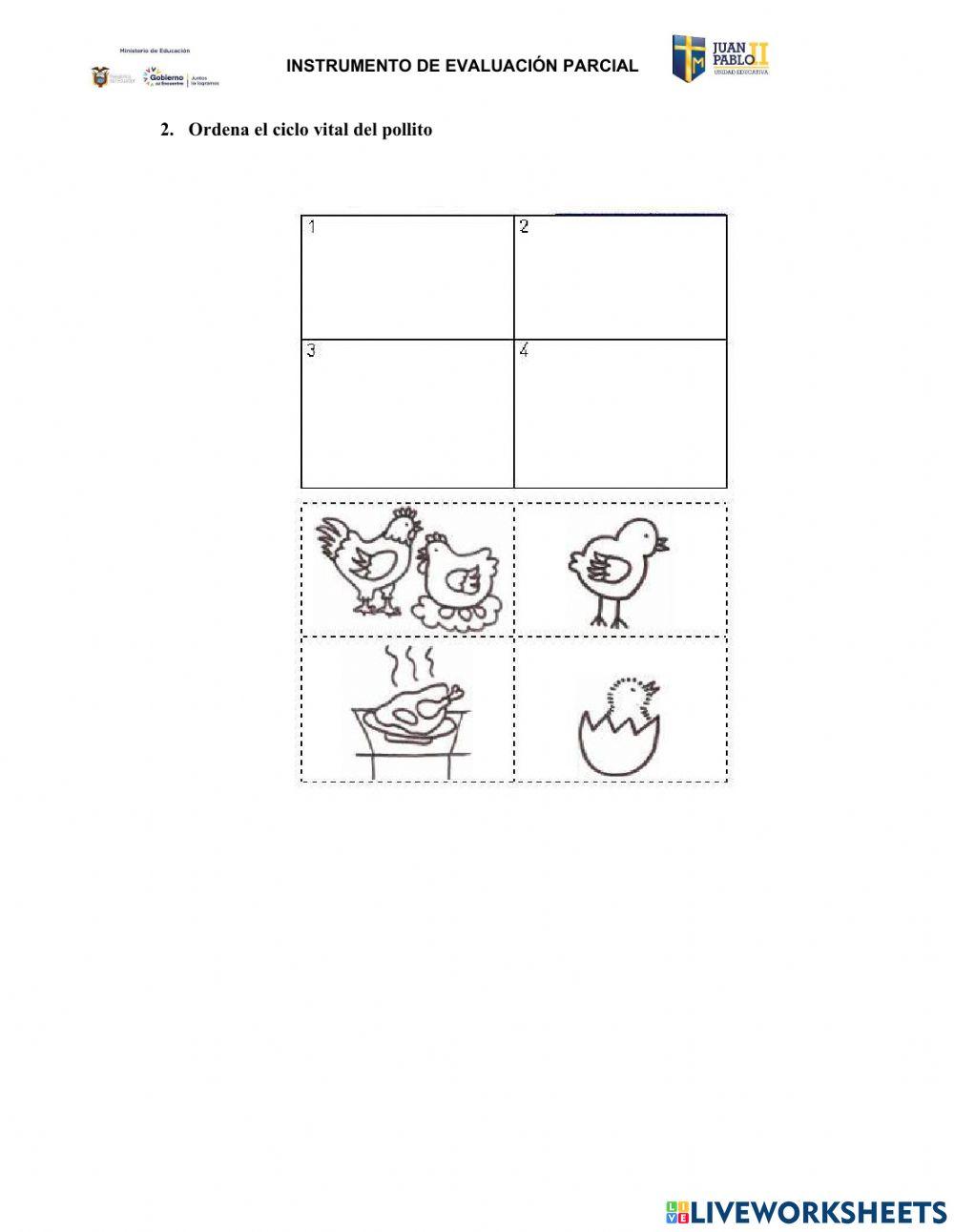 Evaluación de Ciencias Naturales